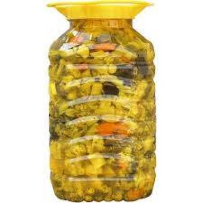 ترشی مخلوط10ک صالحی